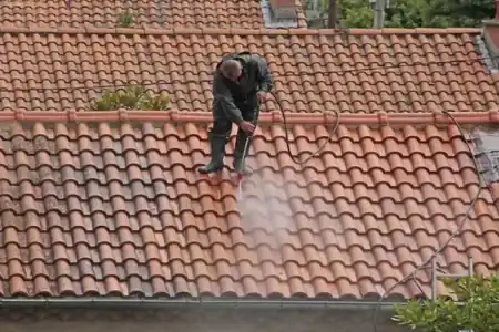 Nettoyage et démoussage de toiture à Étauliers à Étauliers